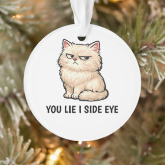 You Lie I Side Eye Fluffy Cream Cat Quote