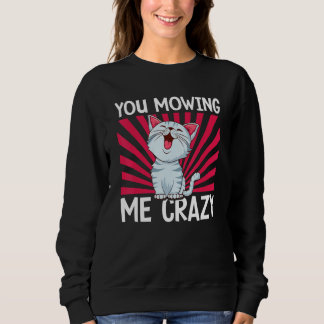 You Mowing Me Crazy Cute Cat Cat   Cat Owner Pet   Trui