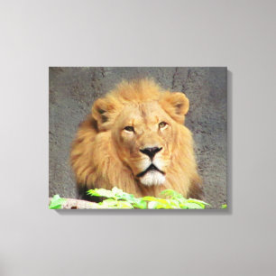 You Must Be Lion beroemd gemaakt door DJONeill Canvas Afdruk