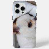 You pet dog puppy custom foto chihuahua Case-Mate iPhone case (Achterkant)