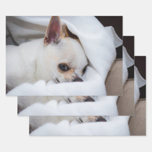 You pet dog puppy custom foto chihuahua inpakpapier vel