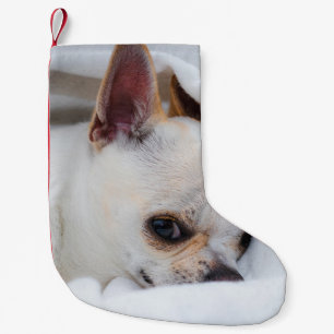 You pet dog puppy custom foto chihuahua kleine kerstsok