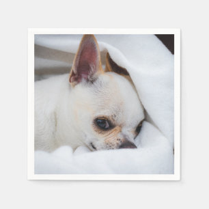 You pet dog puppy custom foto chihuahua servet