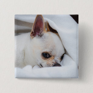 You pet dog puppy custom foto chihuahua vierkante button 5,1 cm