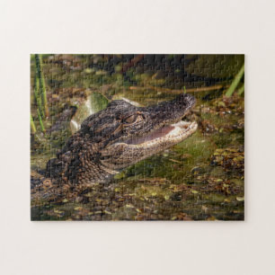 Young Alligator Legpuzzel