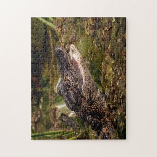 Young Alligator Legpuzzel (Verticaal)