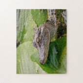 Young Alligator Legpuzzel (Verticaal)