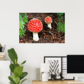 Young Amanita muscaria Poster (Thuiskantoor)