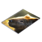 Young Australian Wombat, Carnet (Côté gauche)