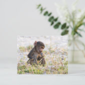Young Baboon Briefkaart (Staand voorkant)