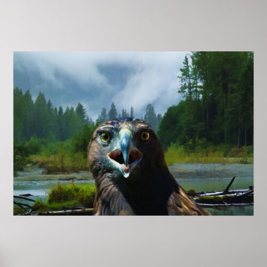 Young Bald Eagle en Misty Alaskan River Poster (Voorkant)
