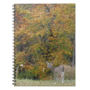 Young Bambi Deer met herfst bomen. Notitieboek