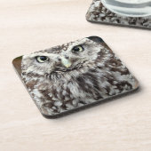 Young Barred Owl Drankjes Onderzetter (Linkerzijde)