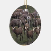Young Bighorn Sheep Keramisch Ornament (Rechts)