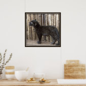 Young Black Leopard Poster (Keuken)