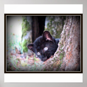 Young Black Leopard Print