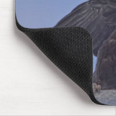 Young Black Raven op Quesnel Bridge w Sky Muismat (Hoek)