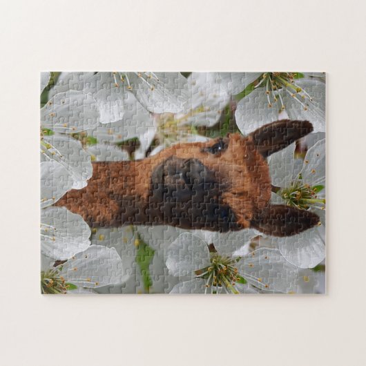 Young Brown Alpaca in White Blossom Legpuzzel (Horizontaal)