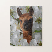 Young Brown Alpaca in White Blossom Legpuzzel (Verticaal)