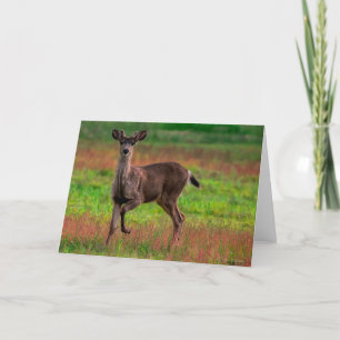 Young Buck Carte de remerciements