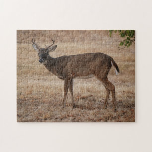 Young Buck Deer Texas Meadow Art Puzzel