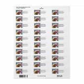 Young Buff Orpington Heritage Chicken Roo Etiket (Full Sheet)