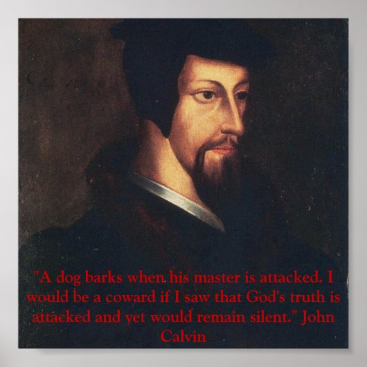 Young Calvin quote Poster (Voorkant)