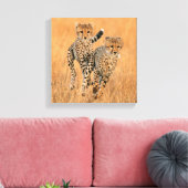 Young Cheetahs (gemeente) Running Canvas Afdruk (Insitu (Woonkamer))
