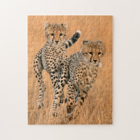 Young Cheetahs (gemeente) Running Legpuzzel (Verticaal)