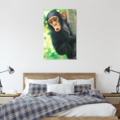 Young Chimpansee (Pan troglodytes) Canvas Afdruk (Insitu (Slaapkamer))
