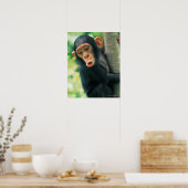 Young Chimpansee (Pan troglodytes) Poster (Keuken)
