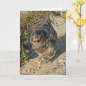 Young Cochin Chicken Kaart (Gele Bloem)