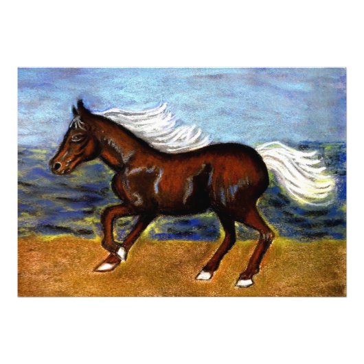 Young Colt Foto Afdruk (Voorkant)