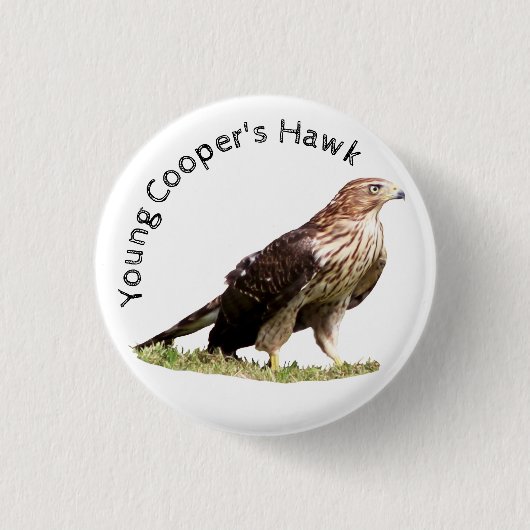Young Cooper's Hawk Ronde Button 3,2 Cm (Voorkant)