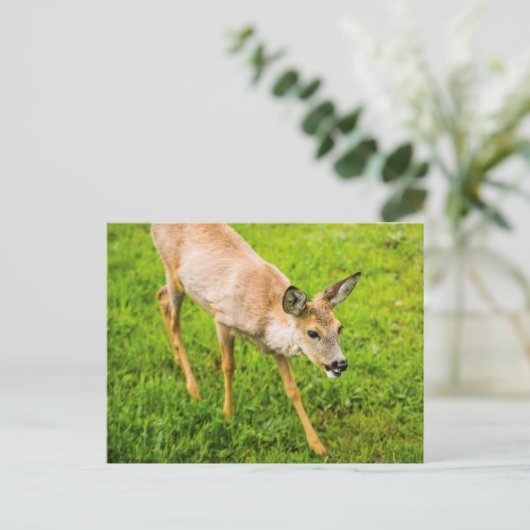 Young Deer Briefkaart (Staand voorkant)