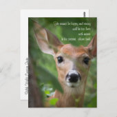 Young Deer with Emerson Quote Briefkaart (Voorkant / Achterkant)