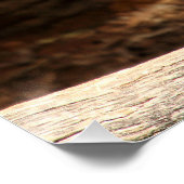 Young Eagle Perfect Poster (Hoek)