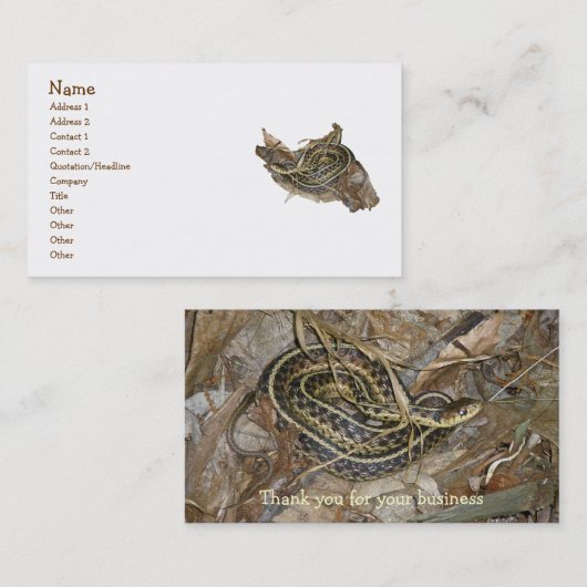 Young Eastern Garter Snake Visitekaartje (Voorkant / Achterkant)