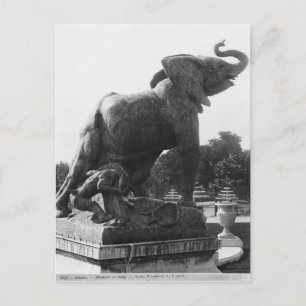Young Elephant gevangen in een val Briefkaart