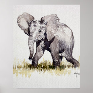 Young Elephant Print