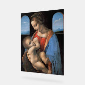 Young Fiancée (1495) peinture de Leonardo Vinci (Angle)