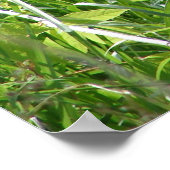 Young Fox Poster (Hoek)