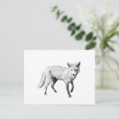 Young Fox Sketch Briefkaart (Staand voorkant)