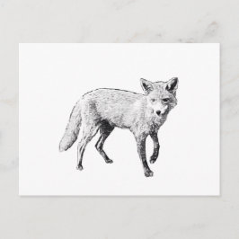 Young Fox Sketch Briefkaart
