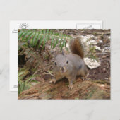 Young Fuzzy on Log Briefkaart (Voorkant / Achterkant)