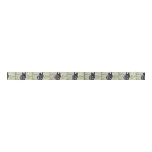 Young German Shepherd Lint (Voorkant)