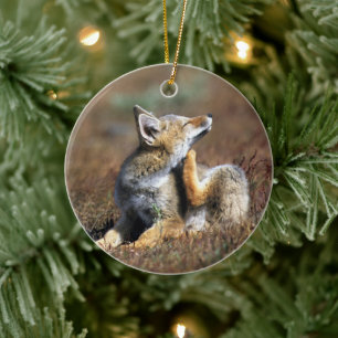 Young Gray Fox in Torres Del Paine National Park Keramisch Ornament