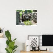 Young Great Horned Owl Poster (Thuiskantoor)