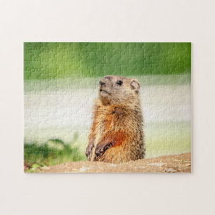 Young Groundhog Legpuzzel