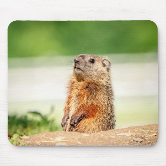 Young Groundhog Muismat (Voorkant)